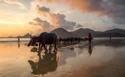 SELONGBELANAK-beach