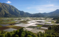 Sembalun-Village