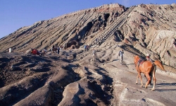 bromo1