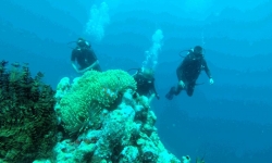 dive course 6.jpg