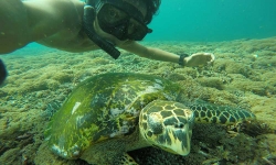 gili-exotic-package-03.jpg