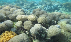 gili-exotic-package-10.jpg