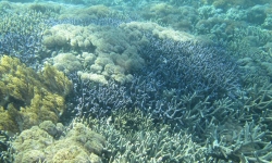 gili-nanggu-1