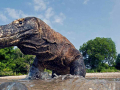 komododiving
