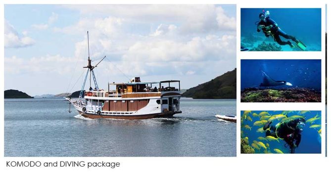 komodo-and-diving-package.jpg
