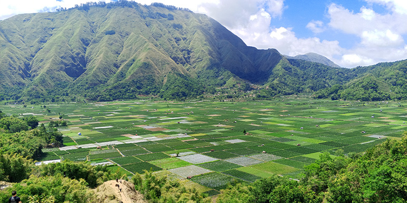 lombok-land-cruise-tour-sembalun