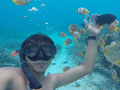 lombok-one-day-trip-from-bali-gili-nanggu