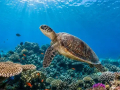lombok-one-day-trip-from-bali