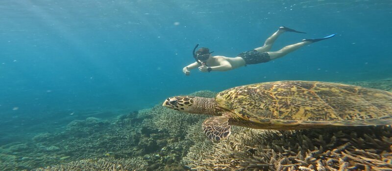 lombok-snorkeling-tour