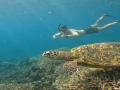 lombok-snorkeling-tour