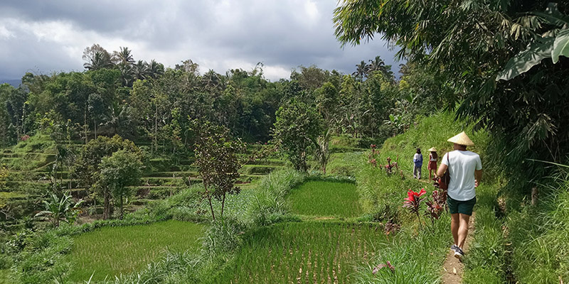Lombok-hiking-at-tetebatu-village