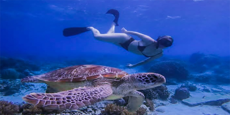 snorkeling-to-gili-trawangan-1