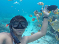 snorkeling-gili-trawangan
