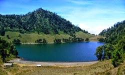 kalimati