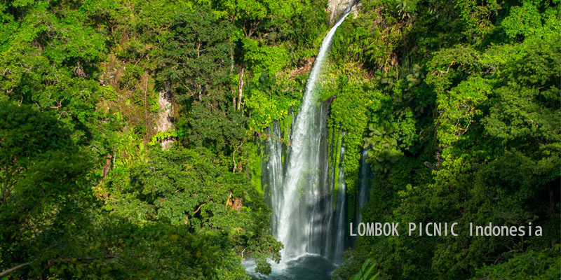 senaru-waterfall.jpg